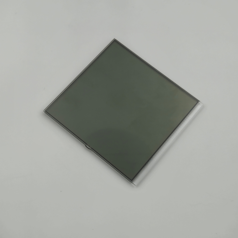 OEM ODM Support 8 Digit TN Segmented Zebra Connector LCD Custom Segment LCD for Medical Devices
