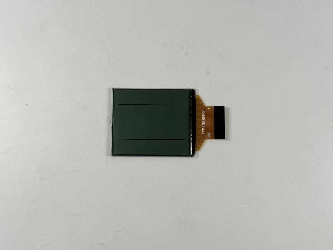 Custom FSTN Black and White LCD Display | Monochrome Segment LCD for Industrial and Electronic Applications