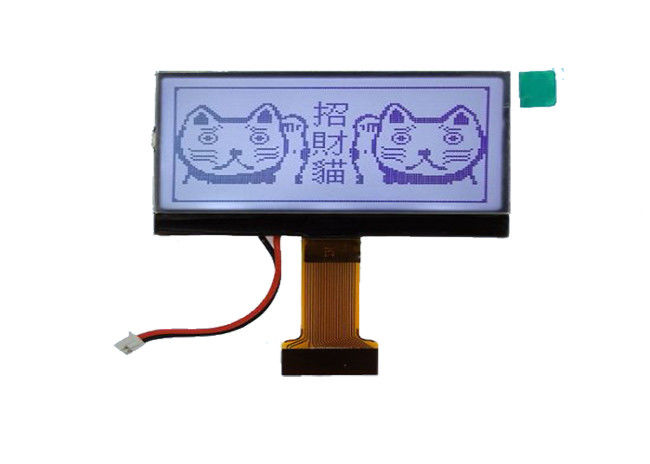 Small OLED Graphic Display Module FSTN Positive Polarizer Type High Precision 