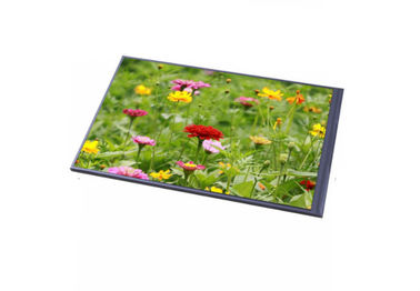 Resistive 7 Inch Touch Screen Panel , Programmable LCD Display Touch Screen For Security Monitoring System 